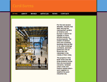 Tablet Screenshot of carolberens.com